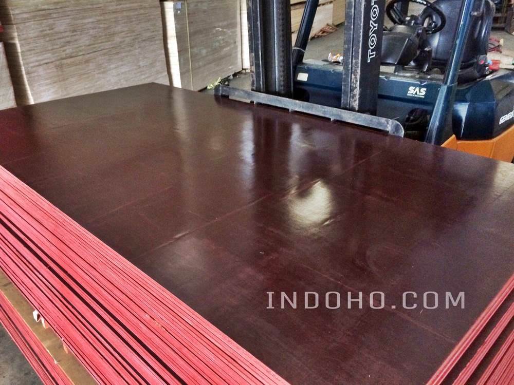 Distributor Triplek Phenolic Film Face di Semarang